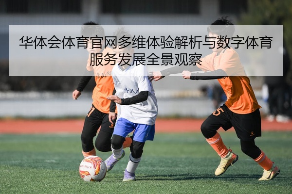 华体会体育官网多维体验解析与数字体育服务发展全景观察